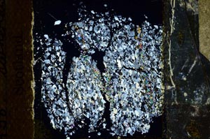 Cross Polarized, S25129