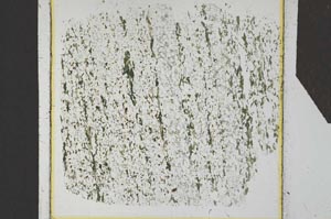 Plane Polarized, S25140