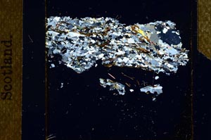 Cross Polarized, S25161