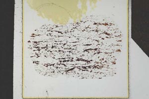 Plane Polarized, S25162