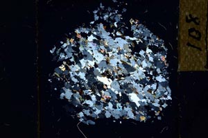 Cross Polarized, S25175