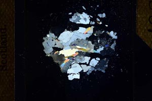 Cross Polarized, S25182