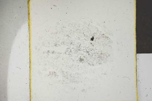 Plane Polarized, S25183