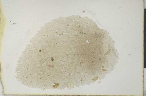 Plane Polarized, S25222