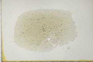 Plane Polarized, S25223