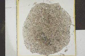 Plane Polarized, S25246