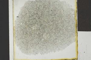 Plane Polarized, S25251