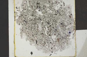 Plane Polarized, S25254