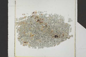 Plane Polarized, S25258