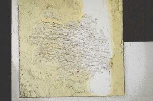Plane Polarized, S25295