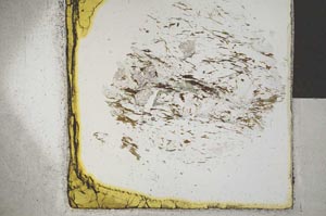 Plane Polarized, S25296