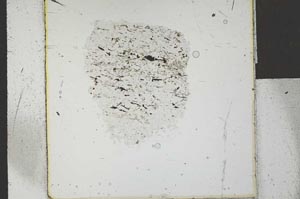 Plane Polarized, S25297