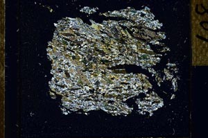 Cross Polarized, S25307