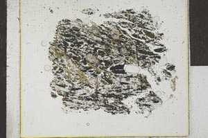 Plane Polarized, S25307