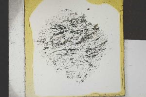 Plane Polarized, S25311