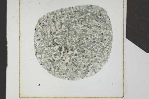 Plane Polarized, S25323