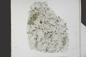 Plane Polarized, S25478
