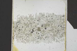 Plane Polarized, S25532