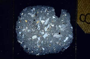 Cross Polarized, S25536