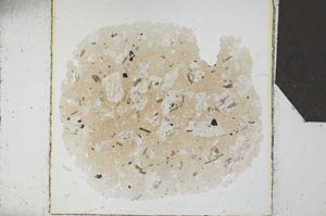 Plane Polarized, S25536