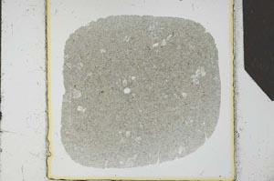 Plane Polarized, S25549