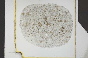 Plane Polarized, S25552