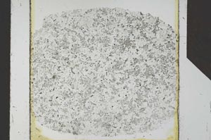Plane Polarized, S25553/A
