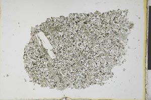 Plane Polarized, S25556