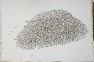 Plane Polarized, S25557