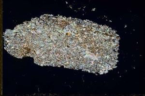 Cross Polarized, S25562