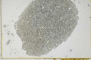 Plane Polarized, S25585