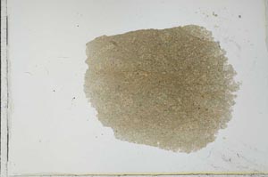 Plane Polarized, S25587