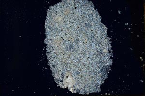 Cross Polarized, S25603