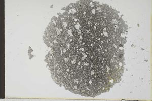 Plane Polarized, S25606