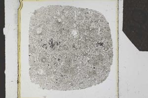 Plane Polarized, S25628