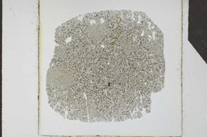 Plane Polarized, S25632