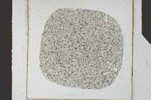 Plane Polarized, S25633