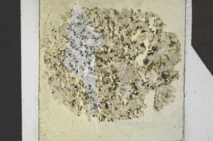 Plane Polarized, S25634