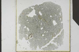 Plane Polarized, S25636