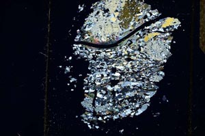 Cross Polarized, S25686