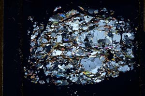 Cross Polarized, S25687