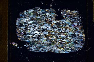 Cross Polarized, S25688