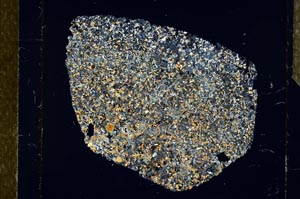 Cross Polarized, S25695