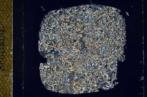 Cross Polarized, S25696