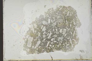 Plane Polarized, S25725