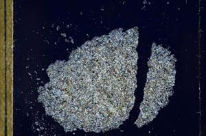 Cross Polarized, S25777