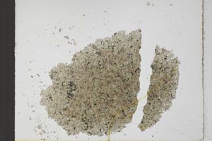 Plane Polarized, S25777