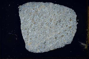 Cross Polarized, S25788