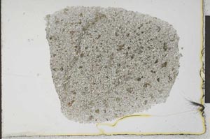 Plane Polarized, S25788