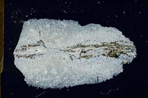 Cross Polarized, S25789